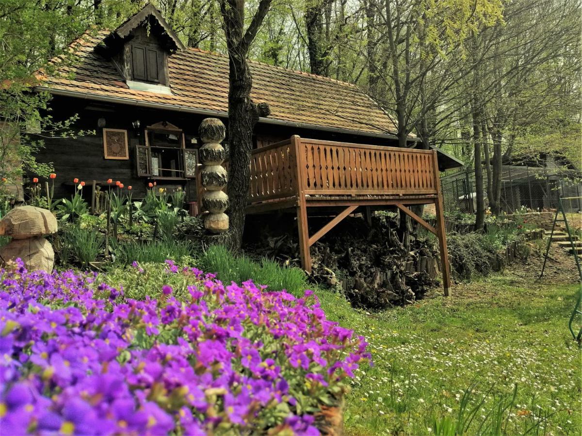 Country House With A Pool In Medvednica Nature Park Zagabria Esterno foto
