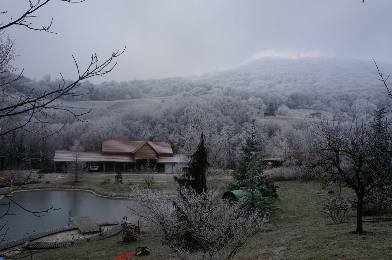 Country House With A Pool In Medvednica Nature Park Zagabria Esterno foto